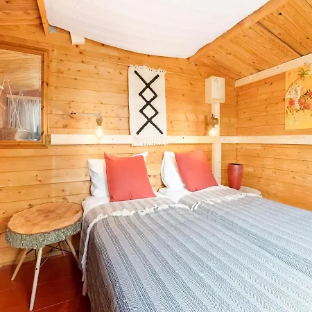 Chalet The Blue House - Heerlijk Aan Het Water Ooltgensplaat